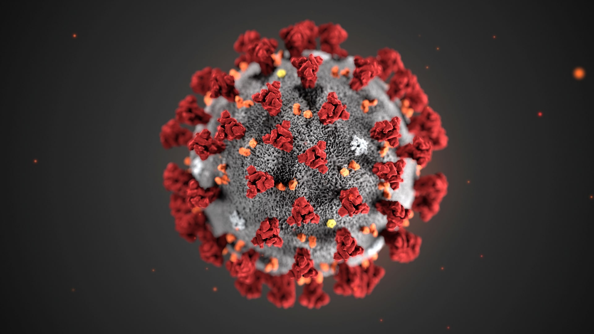 коронавирус фото под микроскопом